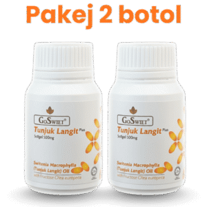 Pakej 2