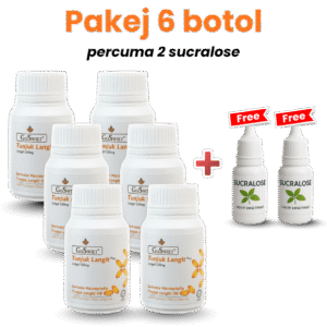 Pakej 5